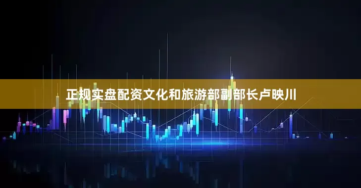 正规实盘配资文化和旅游部副部长卢映川