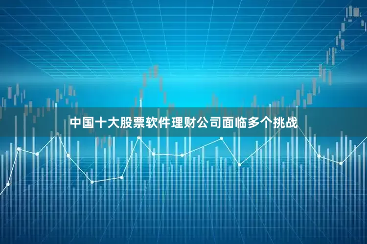 中国十大股票软件理财公司面临多个挑战
